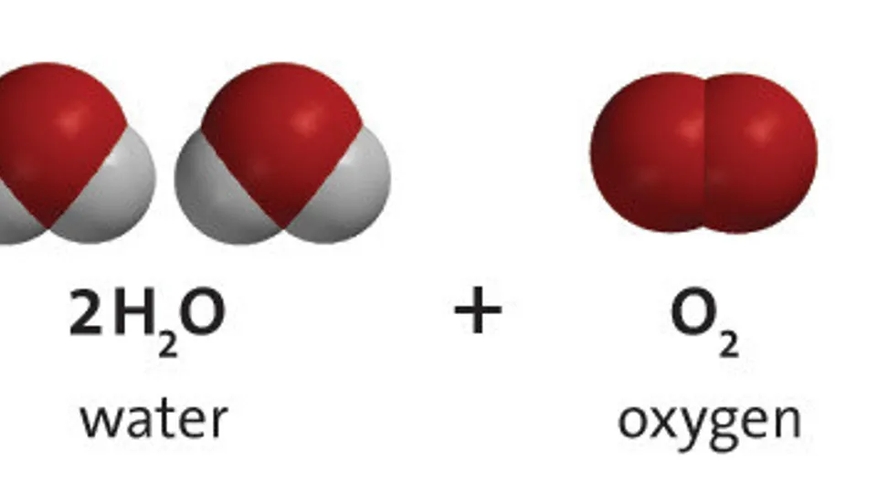 Science Bob 与 Mark Rober 合作的大象牙膏实验